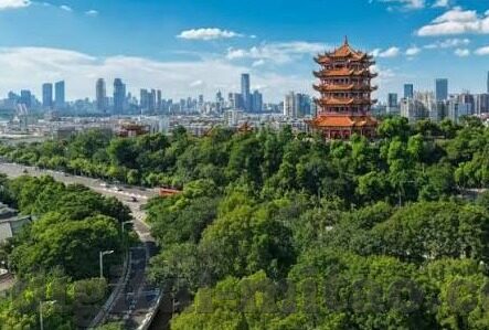 精品人妻少妇一区二区三区在线-品味生活，探索网络世界的微妙角落